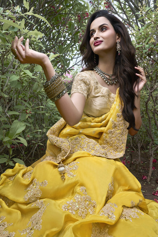 Golden Glimmer Tissue Silk Saree - Closeup view