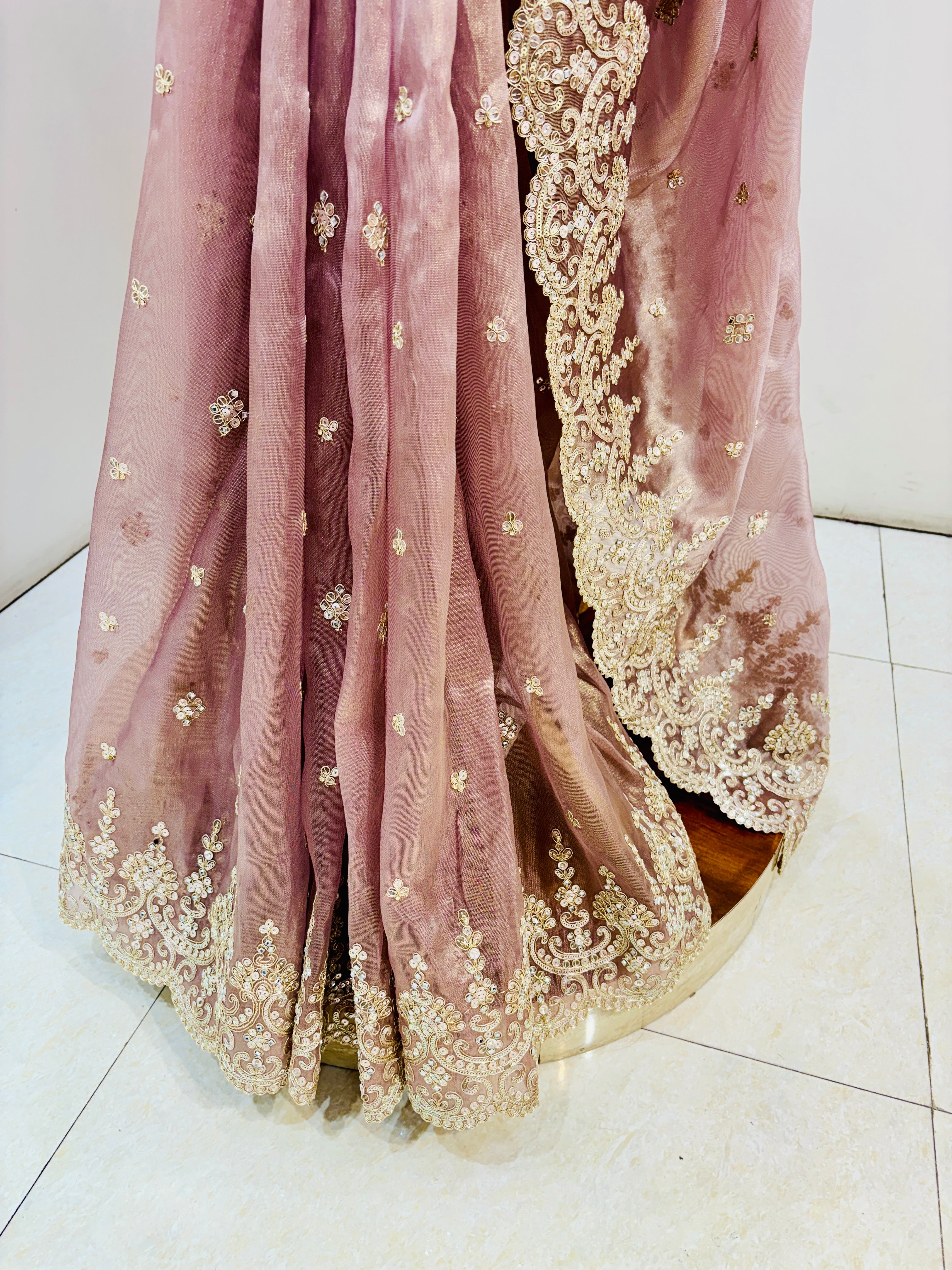 Light Brown Hand Embroidered Tissue Saree