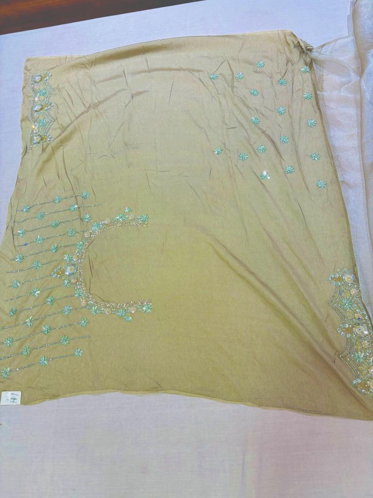 Designer Tissue Hand Work Saree