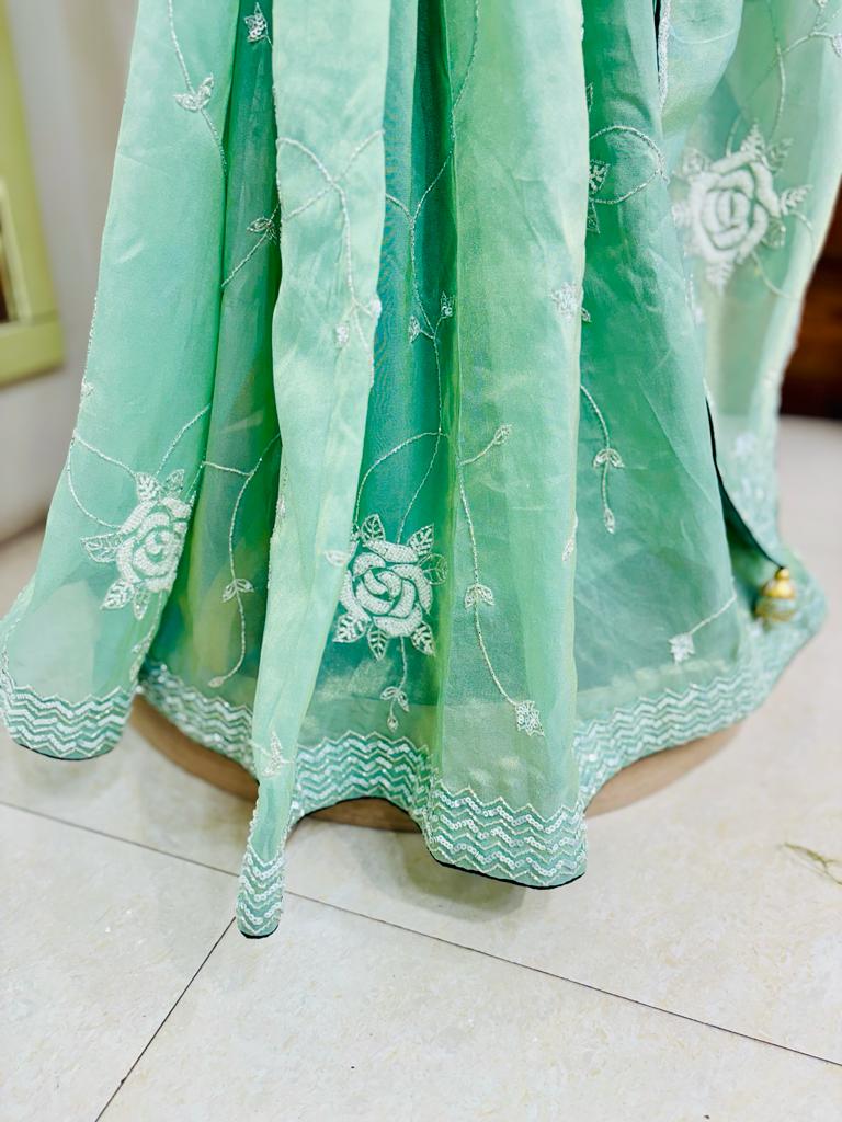 Light Green Popcorn Tissue Designer Saree