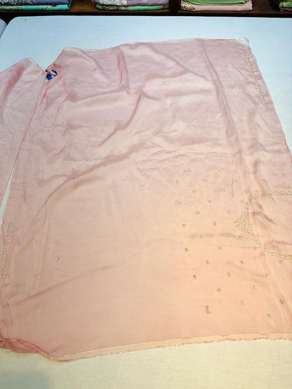 Light Pink Hand Embellished Designer Saree