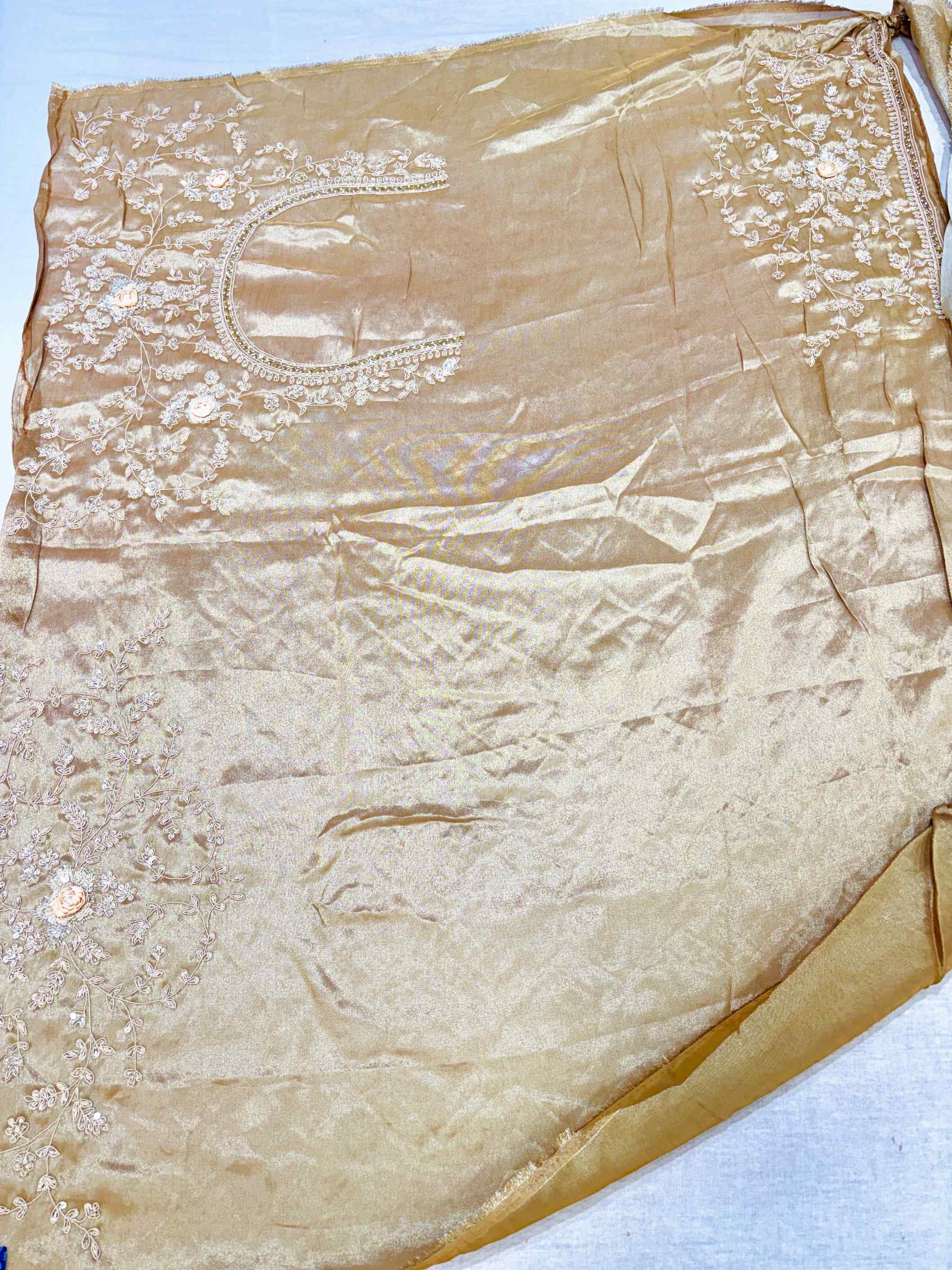 Cream Tissue Silk Hand Embroidered Saree