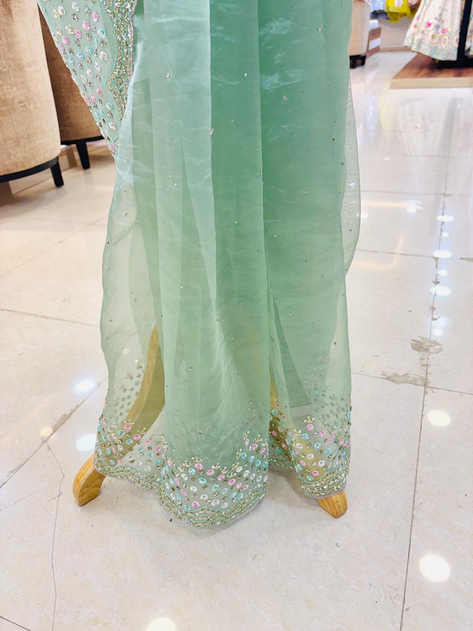 Light Green Tissue Organza Saree