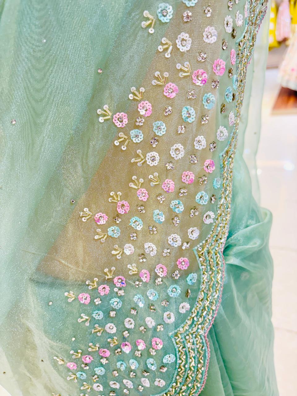 Light Green Tissue Organza Saree